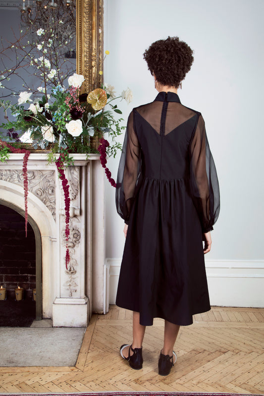 Women's Silk Organza Dress & Sheer Sleeves 